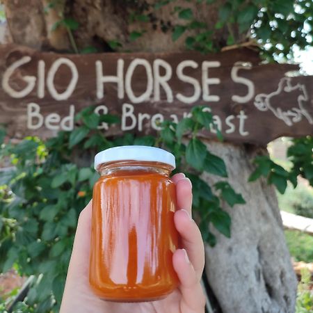 Gio Horses B&B San Nicandro Garganico Exterior foto