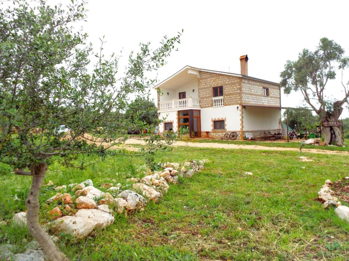 Gio Horses B&B San Nicandro Garganico Exterior foto